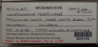 Image Associated With the Occurence